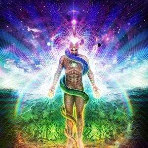 Meet your Posher, Derek